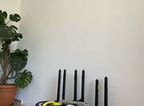 Пароочиститель